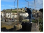 Carcassonne (Francia)