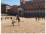 Siena (Italia)